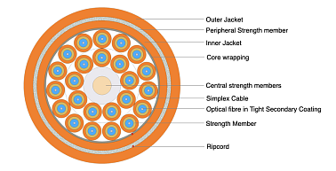 Universal Breakout Cable - Double Jacket 24F